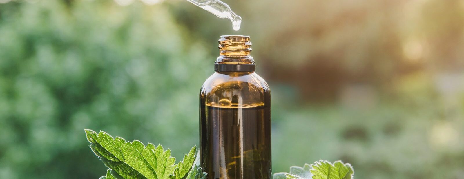 Medicinal Herb Tinctures 101
